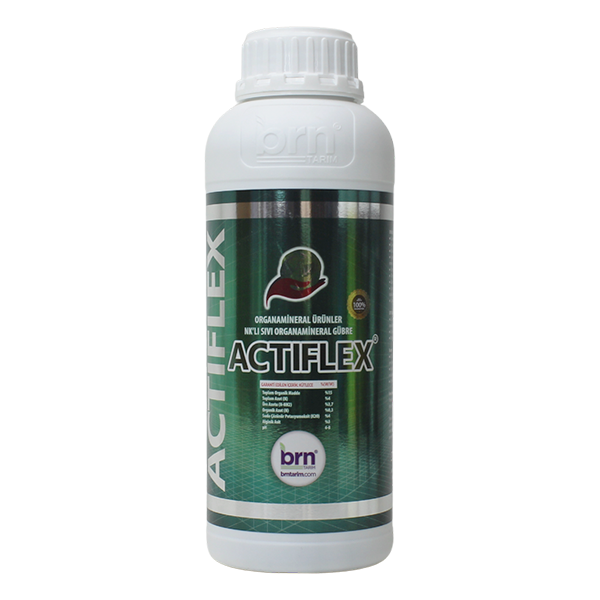 ACTIFLEX